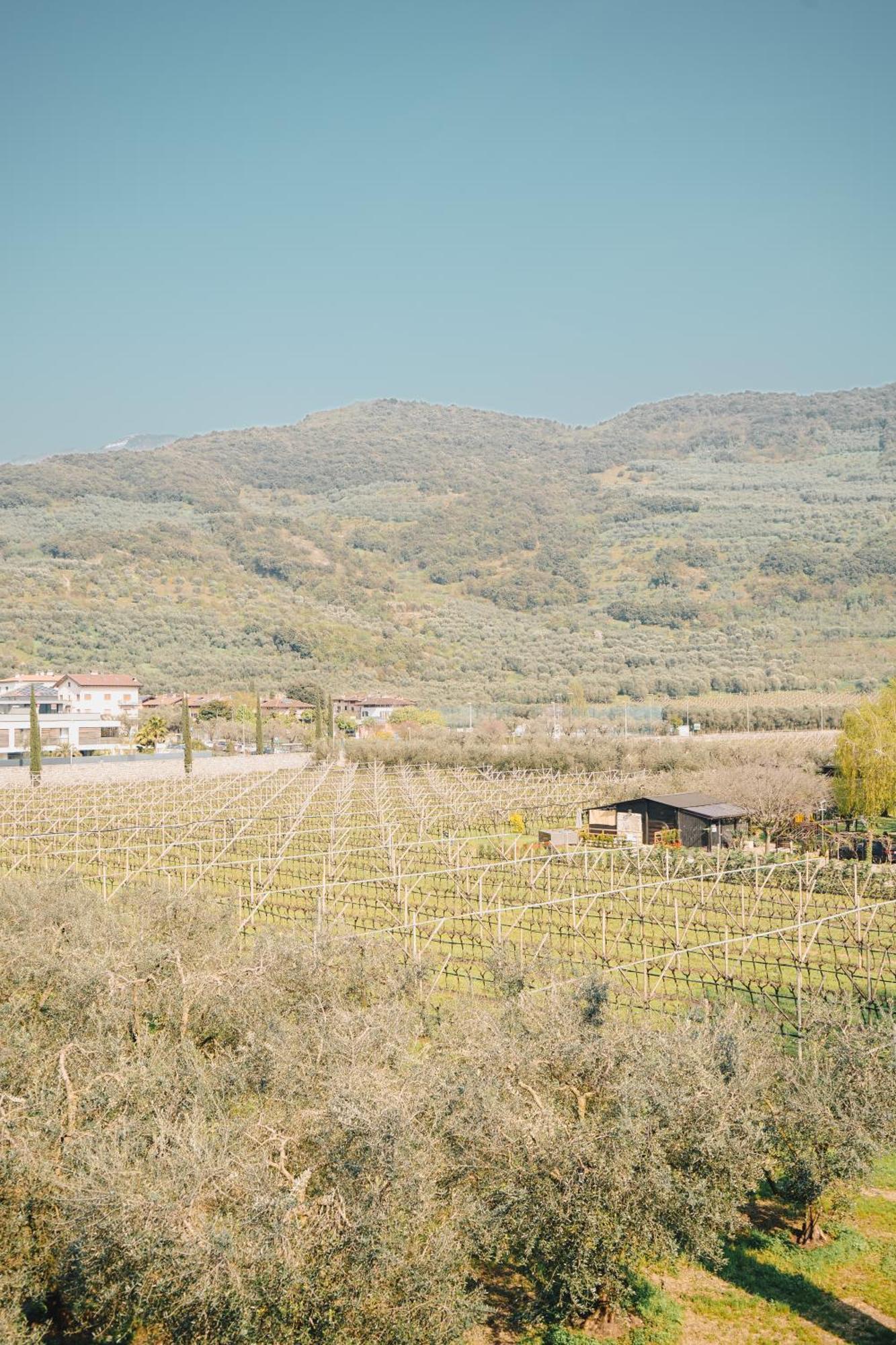 Appartamento Betulla - Peaceful & Happy Stay Ρίβα ντελ Γκάρντα Εξωτερικό φωτογραφία